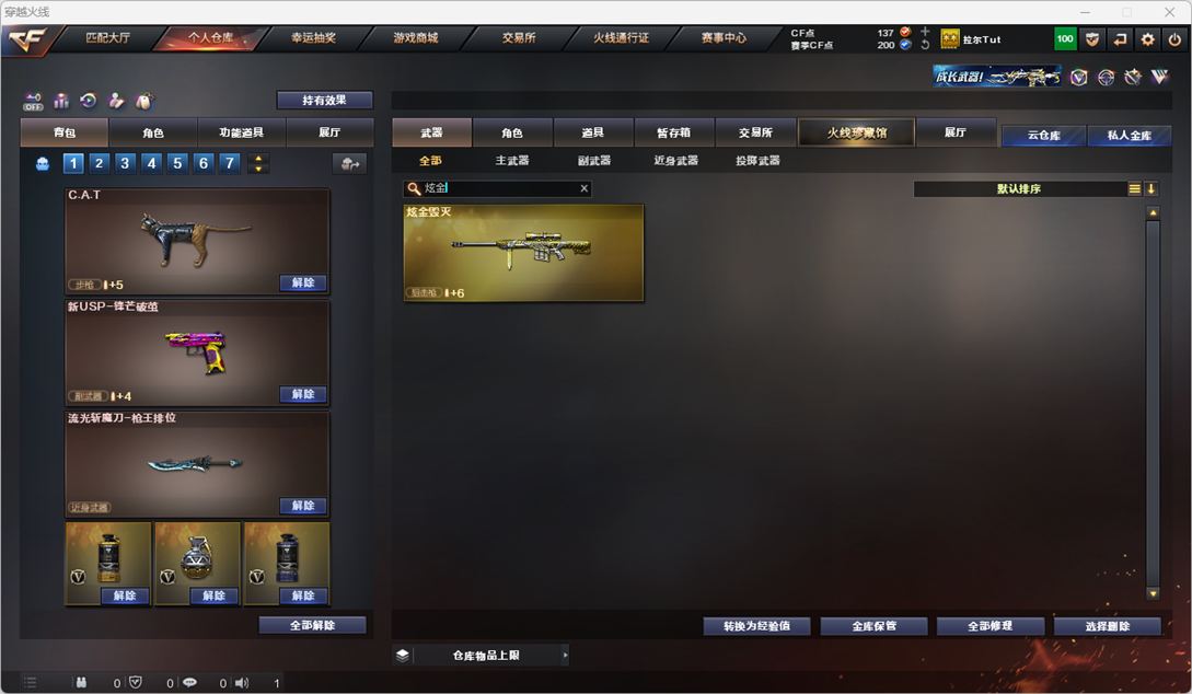CFQM325909穿越火线账号详情图38 CFQM325909穿越火线账号详情图38
