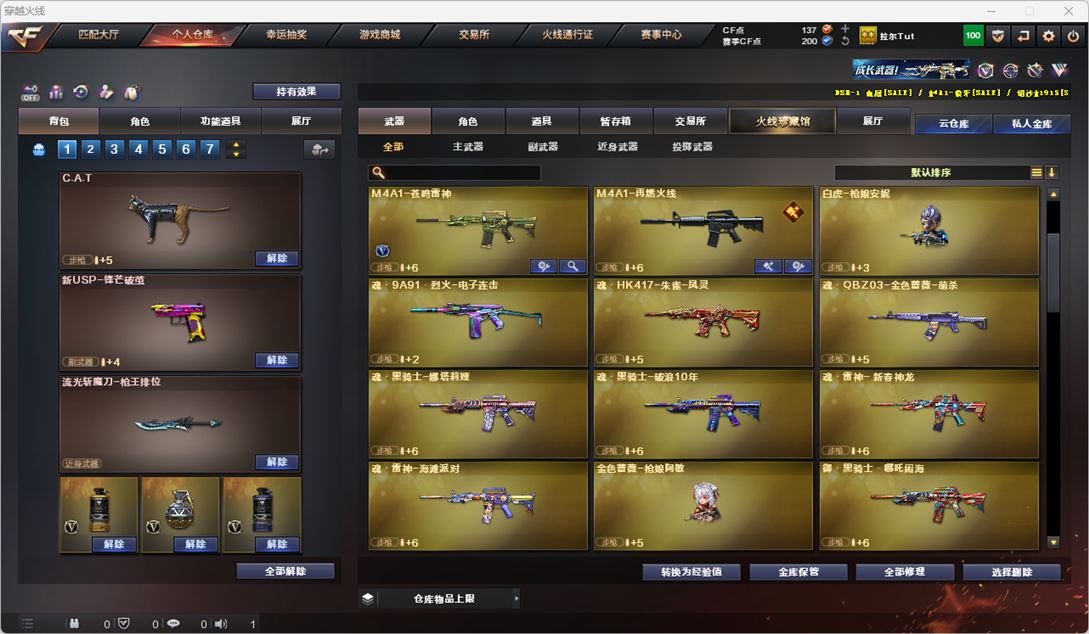CFQM325909穿越火线账号详情图15 CFQM325909穿越火线账号详情图15
