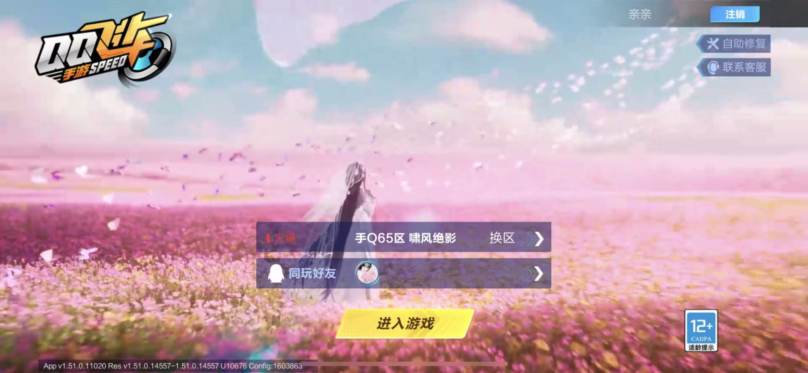 QQ飞车手游账号苹果QQ【冰魄/天行】实名: 可修改 宠物: 源梦之星,无常小黑