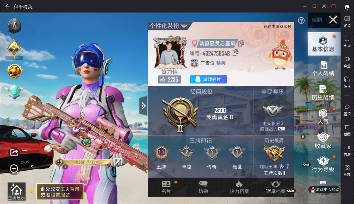 大图