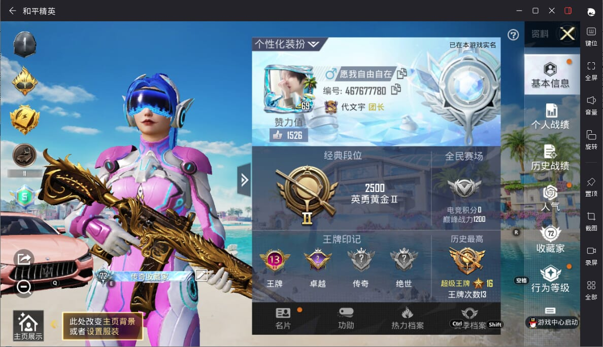 大图