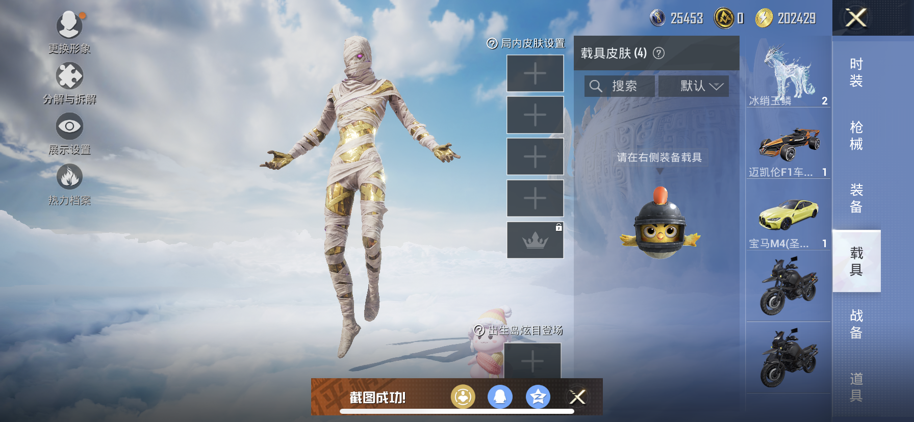 HPDN3317875和平精英账号详情图10 HPDN3317875和平精英账号详情图10