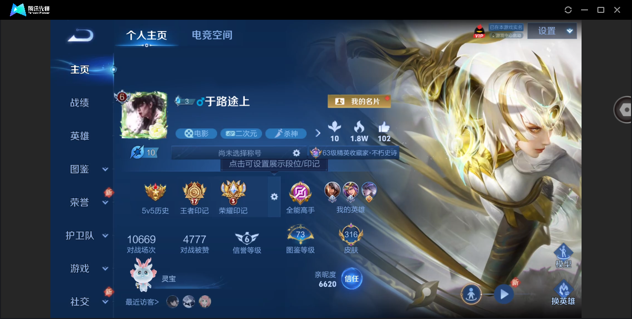 WZ146895