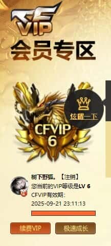 CFQM330641穿越火线账号详情图42
