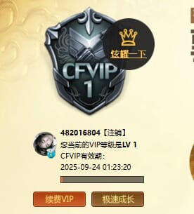 CFQM333873穿越火线账号详情图11