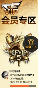 CFQM334246穿越火线账号详情图14