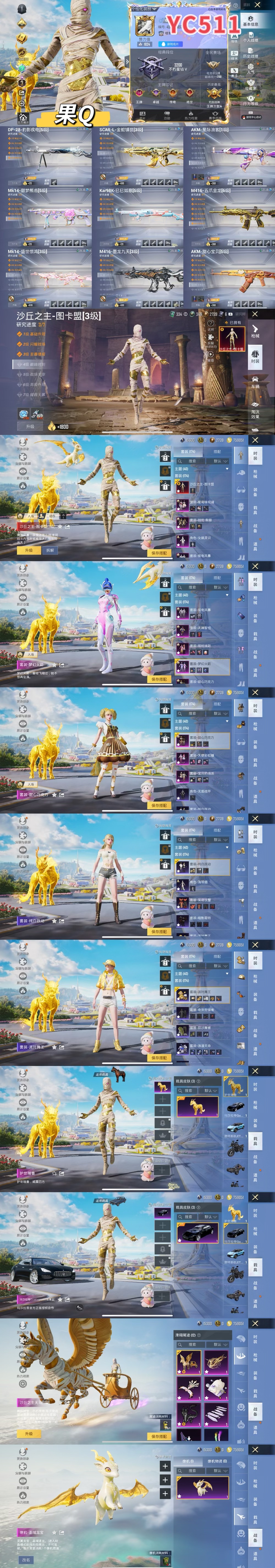 HPTXW3335173和平精英账号详情图2