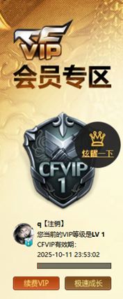 CFQM334907穿越火线账号详情图52