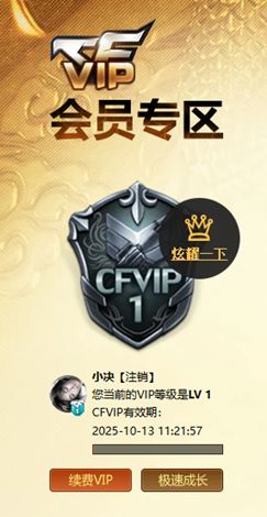 CFQM335164穿越火线账号详情图37
