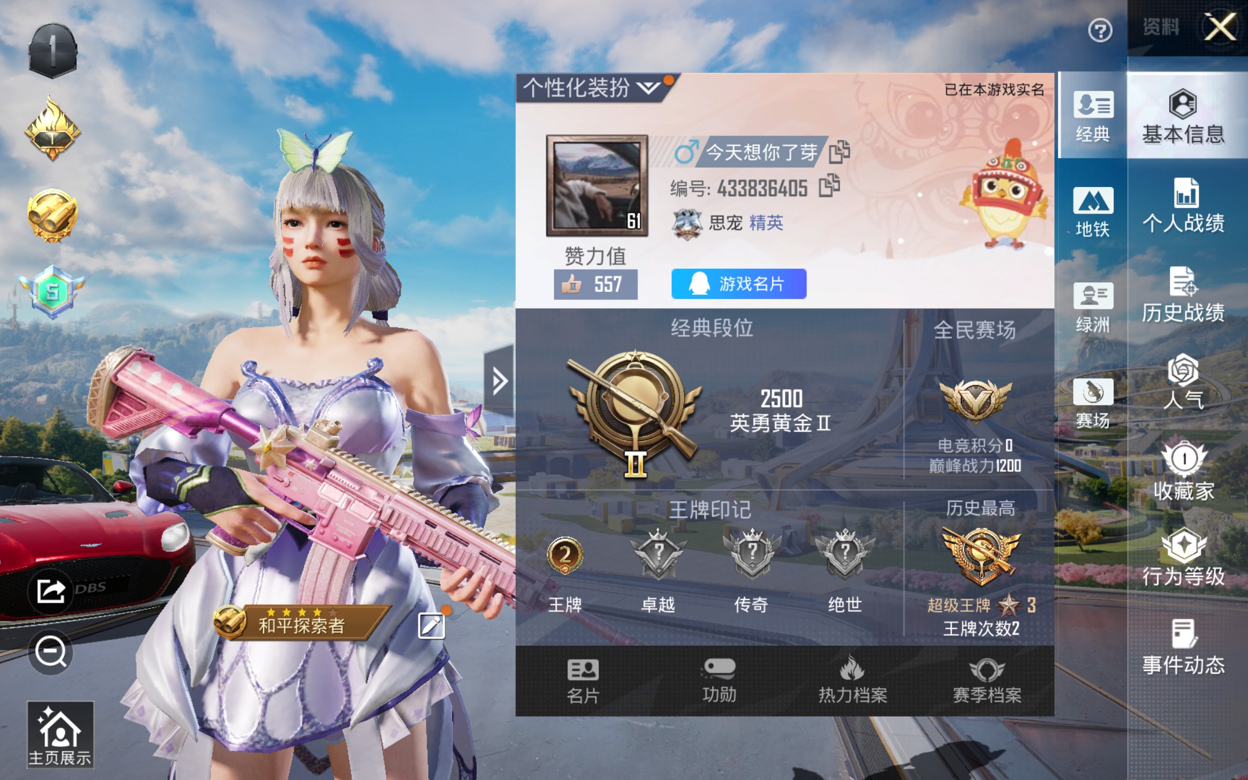 HPCMW3337290和平精英账号详情图12