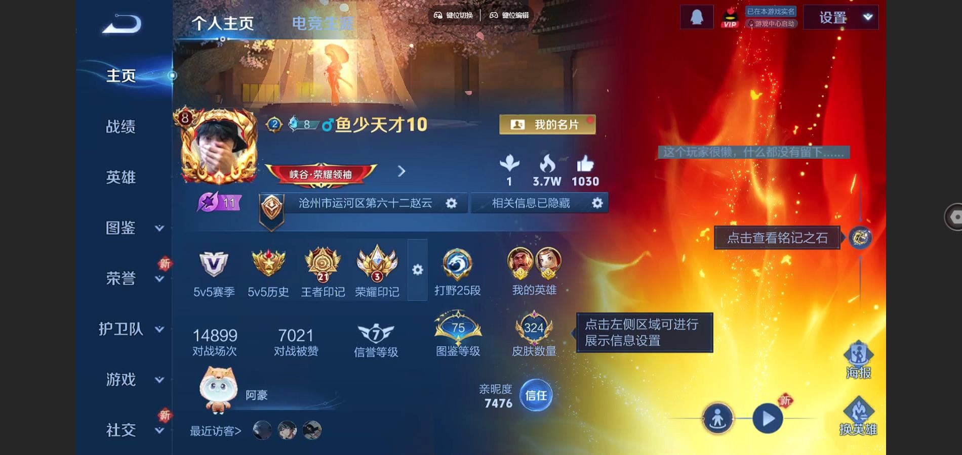 王者荣耀账号安卓QQ324皮肤2典藏1无双1珍品传说18传说 王者印记21 打野25段 金标苏烈 金标鲁班七号 2星传说