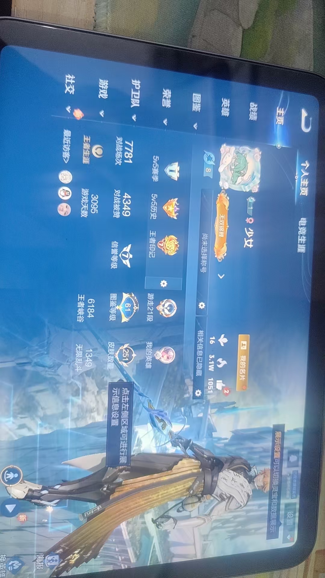 WZQM3376008王者荣耀账号详情图13