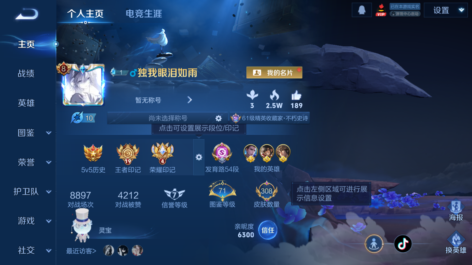 WZCMW3310479王者荣耀账号详情图2