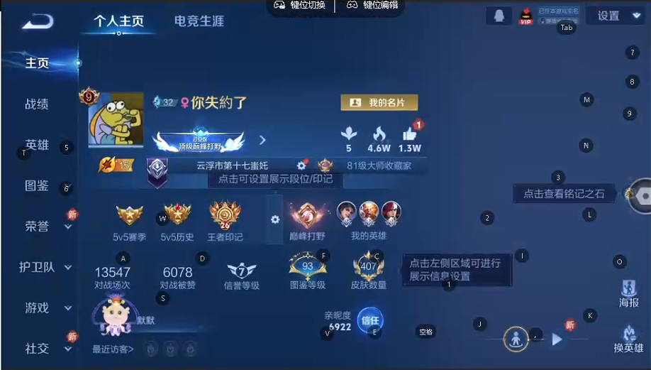 WZQM3375882王者荣耀账号详情图9