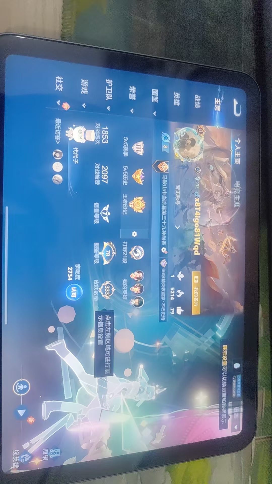 WZQM3375027王者荣耀账号详情图14