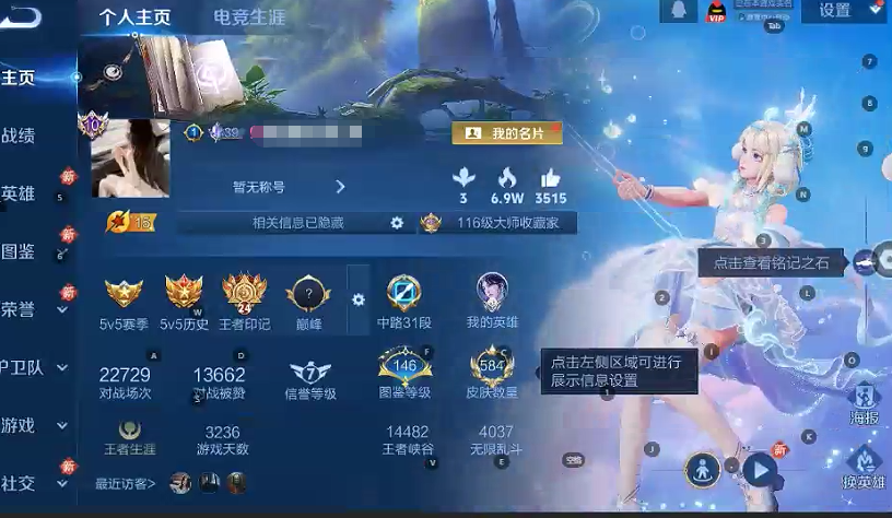 WZQM3392501王者荣耀账号详情图7