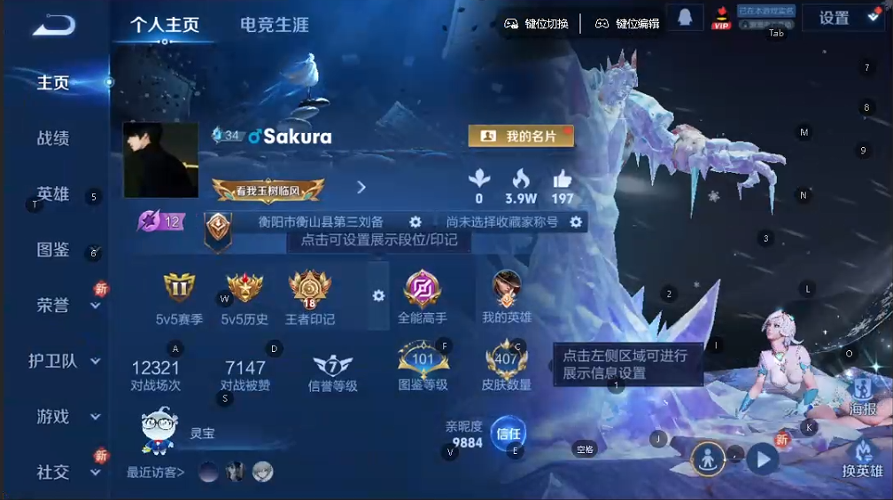 WZQM3375255王者荣耀账号详情图8 WZQM3375255王者荣耀账号详情图8