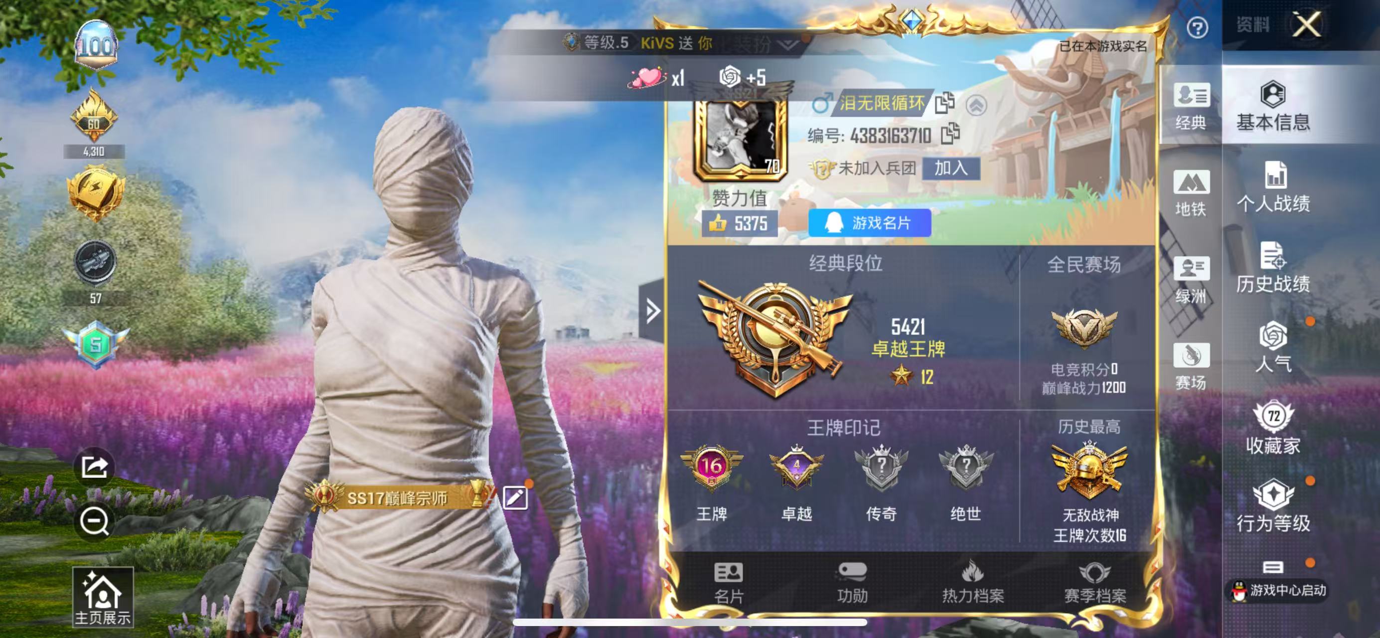 和平精英账号苹果QQ0载具-755套装-290枪皮-实名: 可修改 时装数: 730 枪械数: 275 战备数: 170