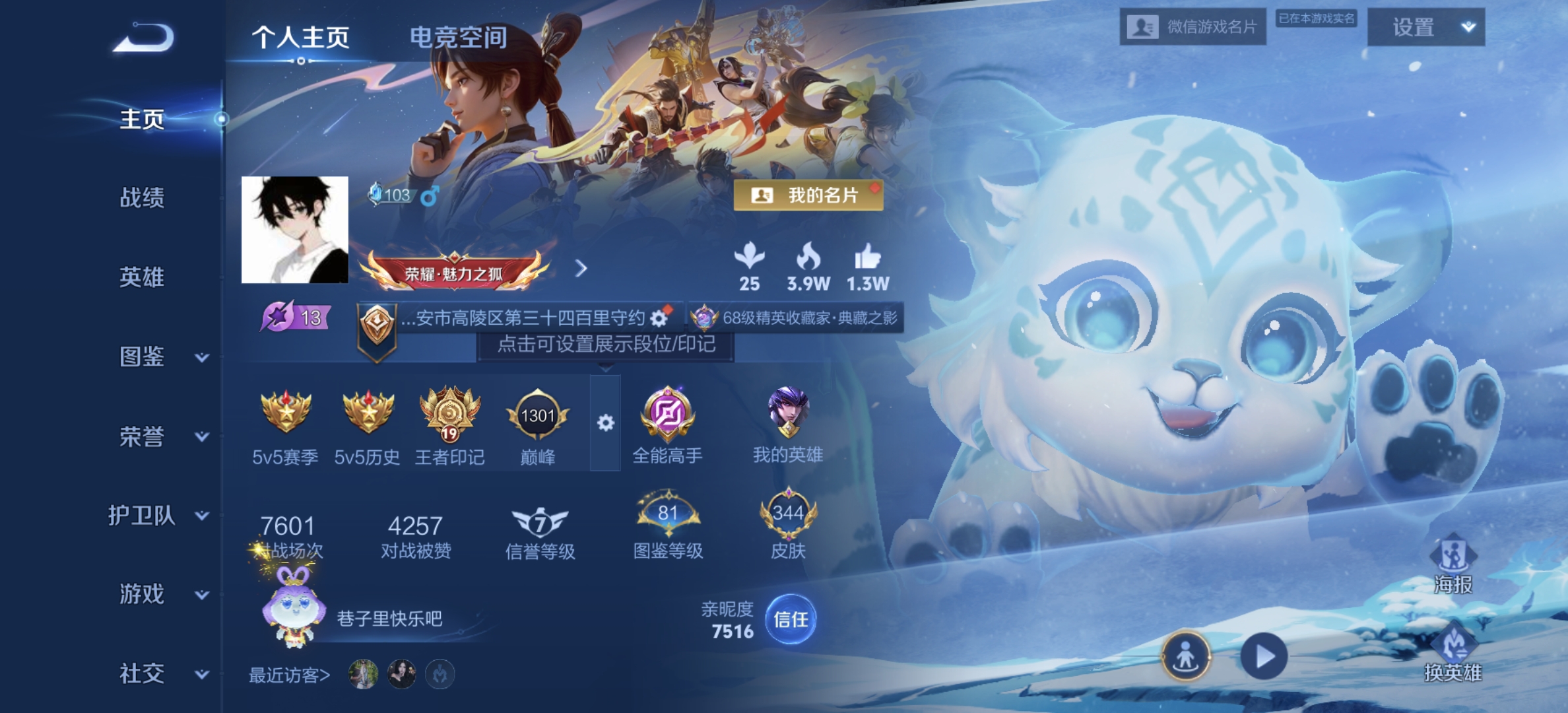 王者荣耀账号安卓VX[13241079]DAS5722  -(可二次)  安卓V-V8-344皮肤 3典藏（一水晶未使用