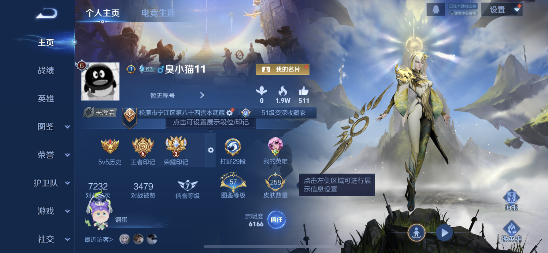 WZDN3354463王者荣耀账号详情图3