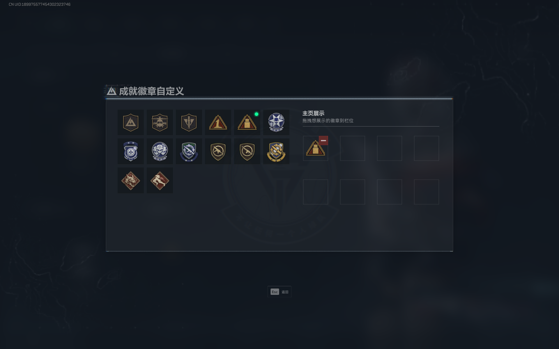 SJZTXWY357892三角洲行动账号详情图10