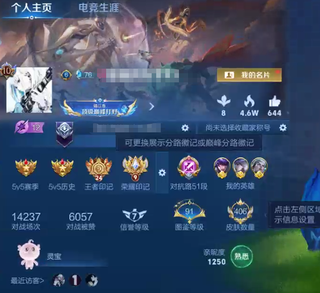 WZQM3387524王者荣耀账号详情图10