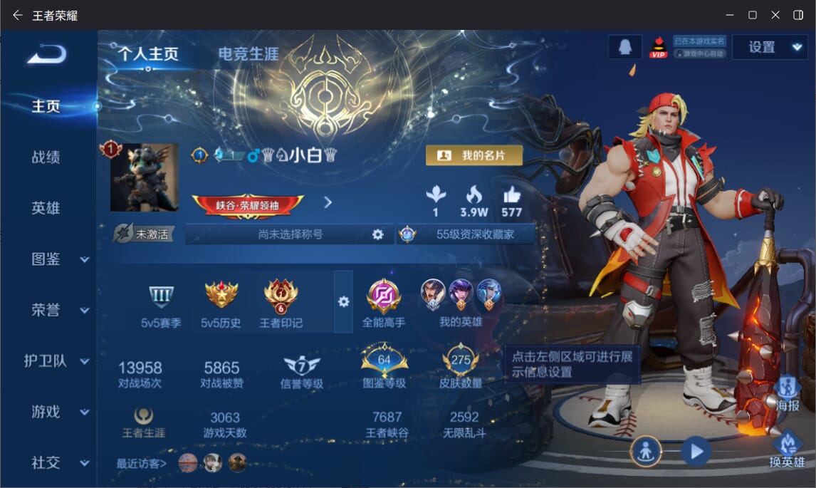 WZCMW3367960王者荣耀账号详情图17