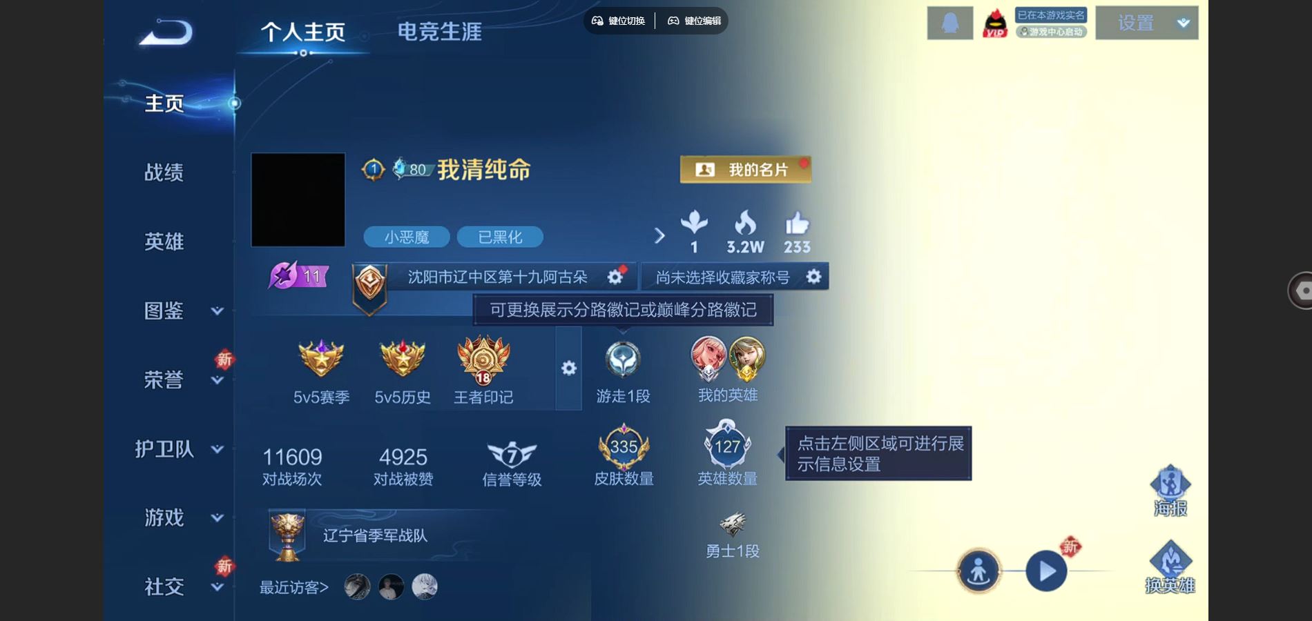 王者荣耀账号安卓QQ127英雄-335皮肤-V8-335皮肤1典藏4珍品传说18传说 打野42段 金标阿古朵 3星传说 