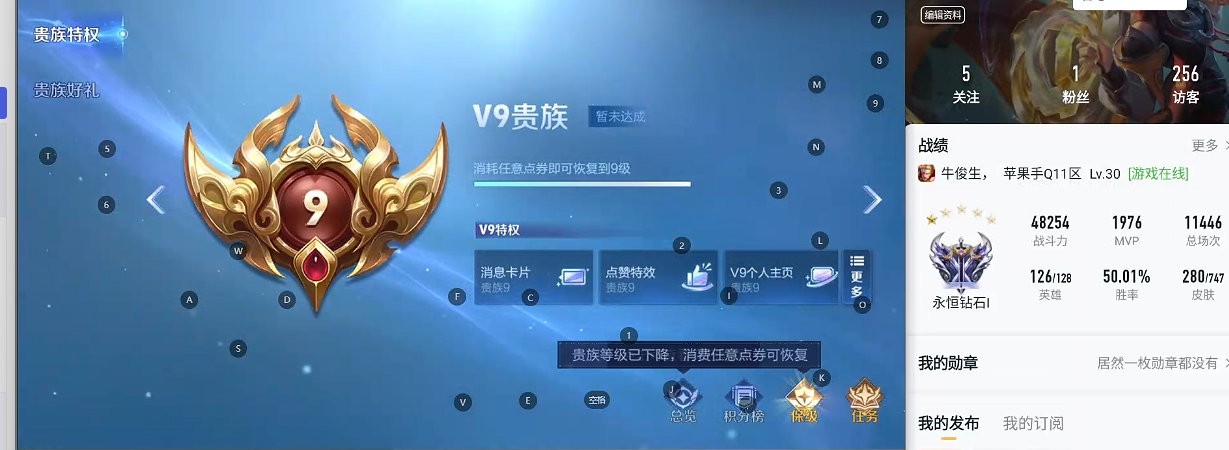 WZQM3375846王者荣耀账号详情图7