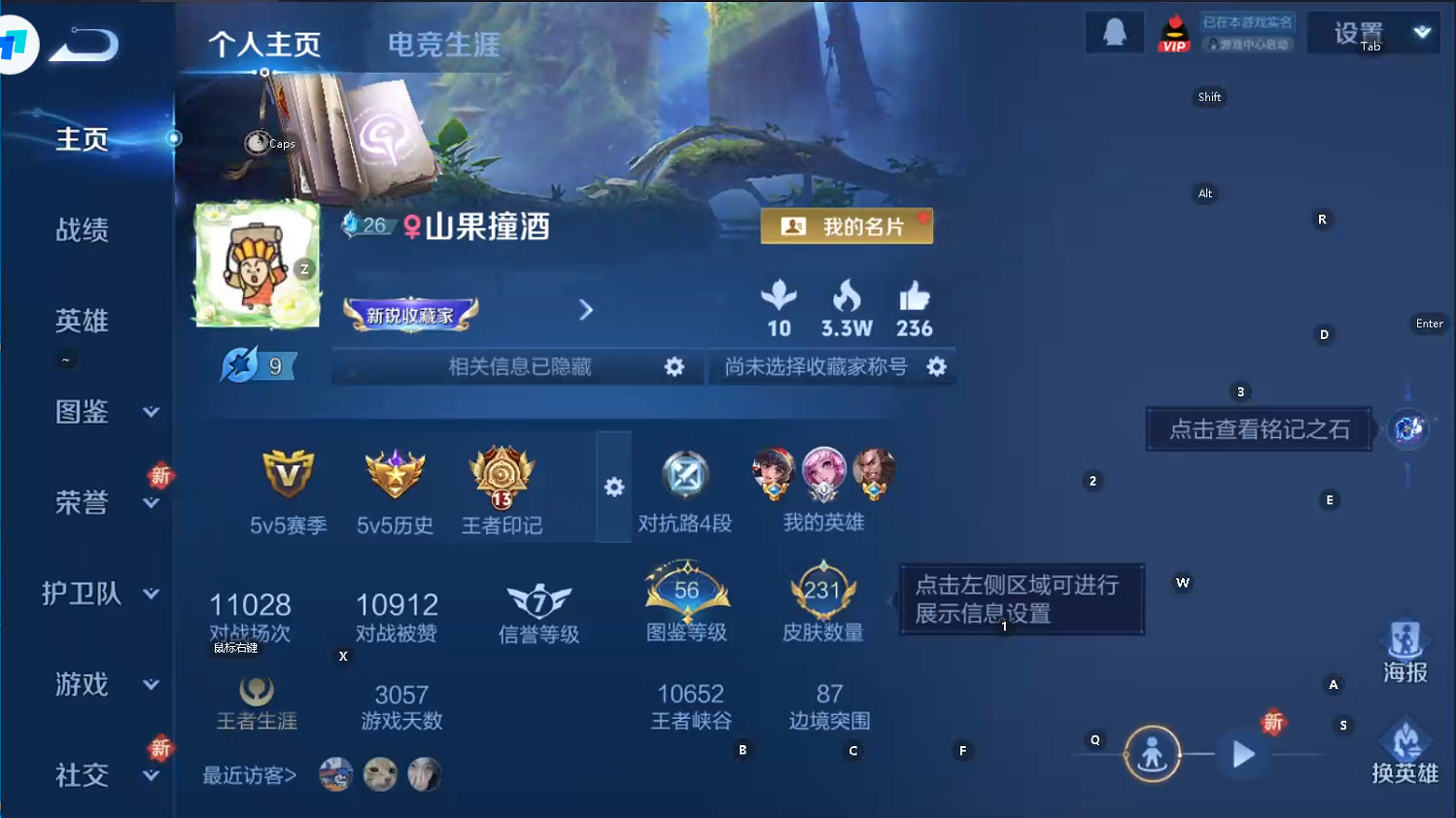 WZQM3376365王者荣耀账号详情图5