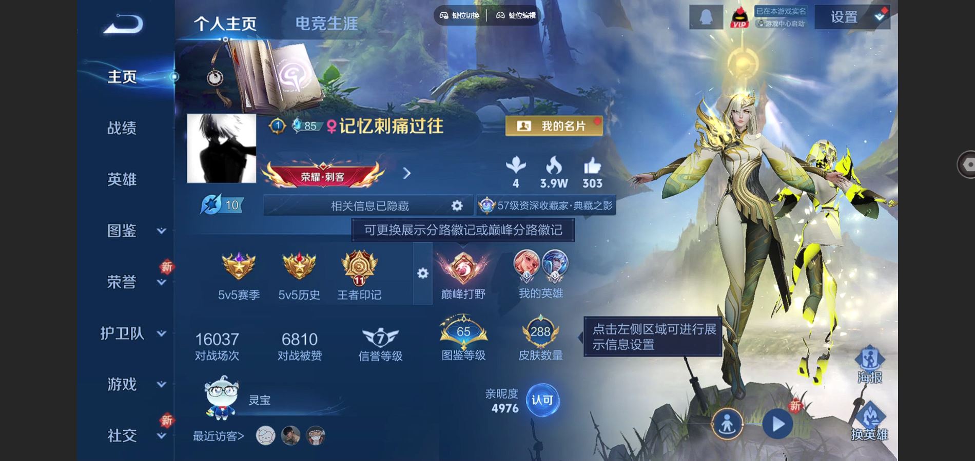 王者荣耀账号苹果QQ127英雄-288皮肤-V8-288皮肤1典藏1珍品传说15传说 3星传说 时之思念 幽冥之眼 未来