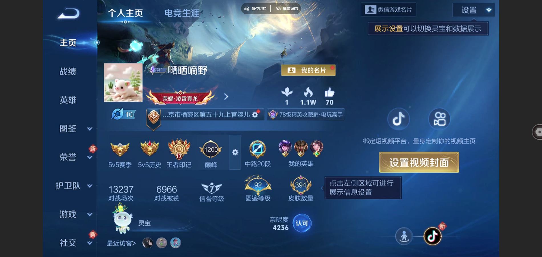 王者荣耀账号安卓VX127英雄-394皮肤-[]V9-394皮肤4典藏2珍品传说29传说 1星传说 星际治安官【全皮英雄