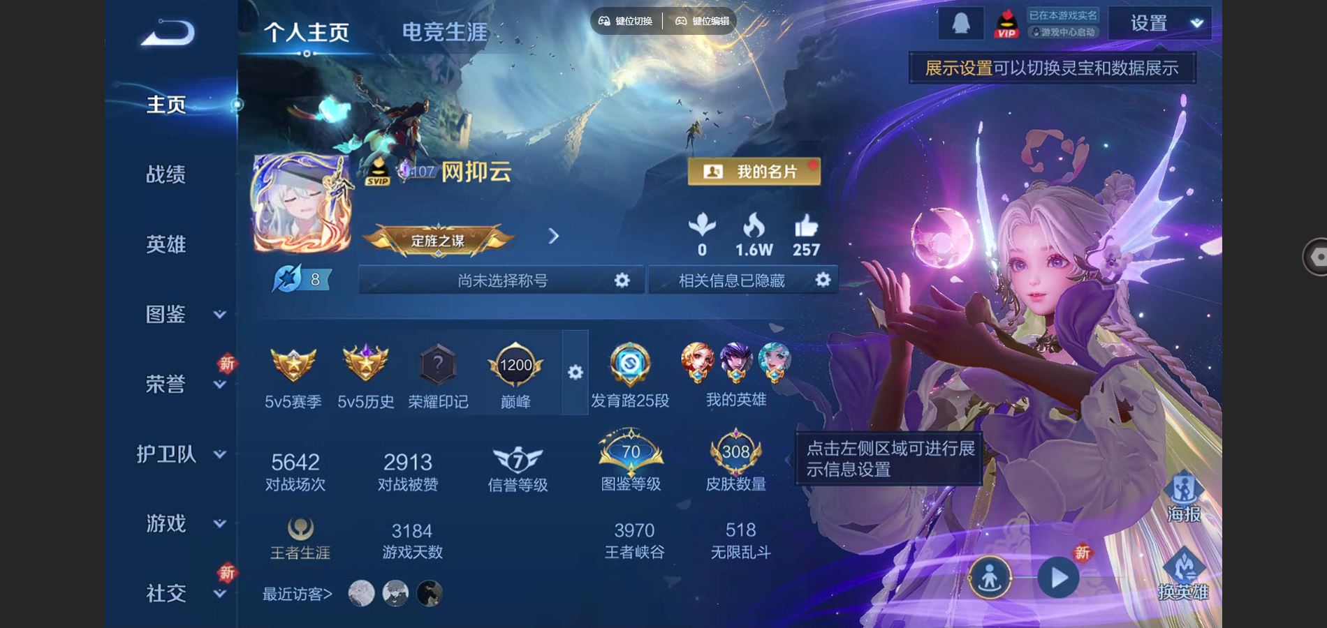 WZCMW3393282王者荣耀账号详情图22