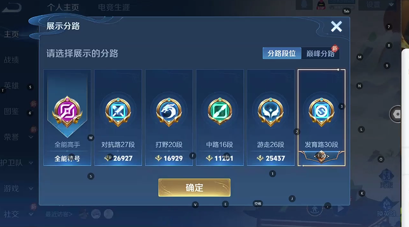 WZQM3402954王者荣耀账号详情图3