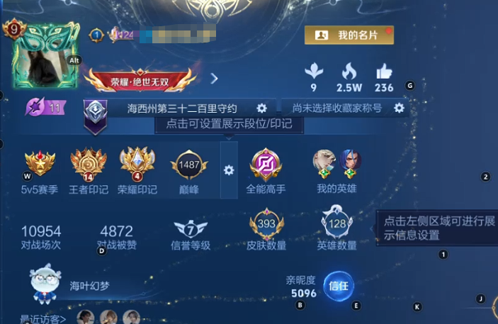 WZQM3402848王者荣耀账号详情图10