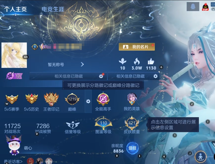 WZQM3410385王者荣耀账号详情图10 WZQM3410385王者荣耀账号详情图10