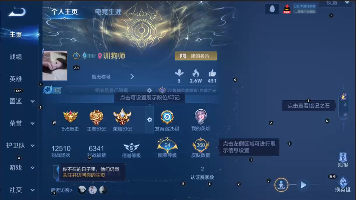 WZQM3410341王者荣耀账号详情图8