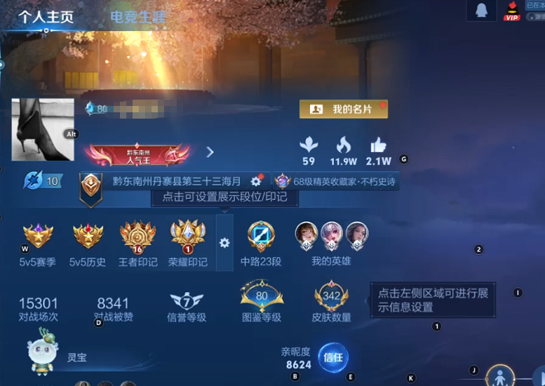 WZQM3402607王者荣耀账号详情图9