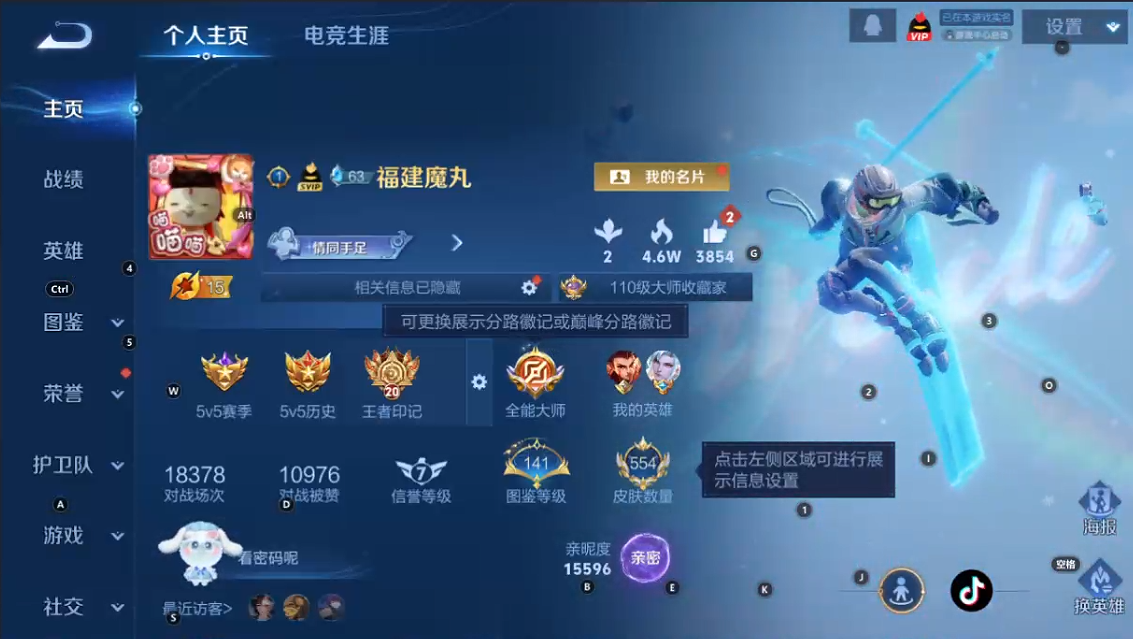 WZQM3406756王者荣耀账号详情图13