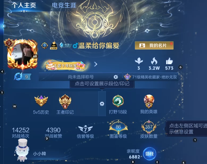 WZQM3397968王者荣耀账号详情图13