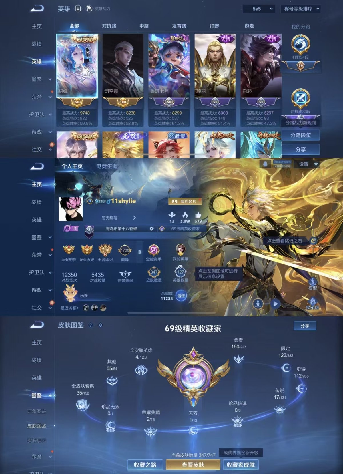 WZQM3461890王者荣耀账号详情图10