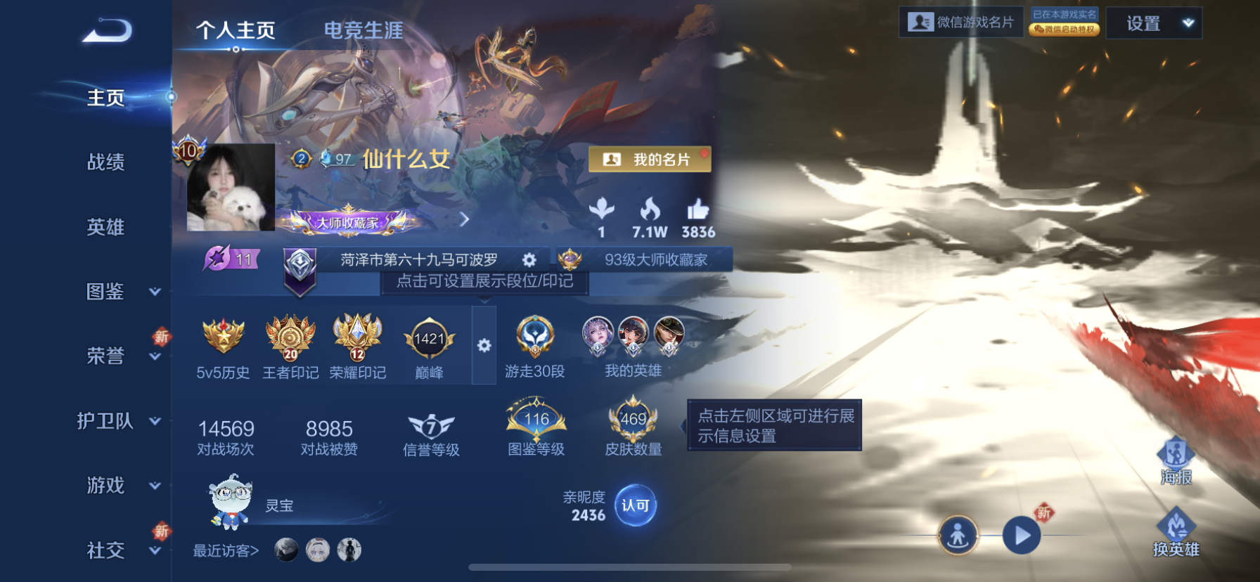 王者荣耀账号苹果VX[14359199]DAS7386 包人脸 苹果V-V10-469皮肤5典藏1珍品传说6星传说58传