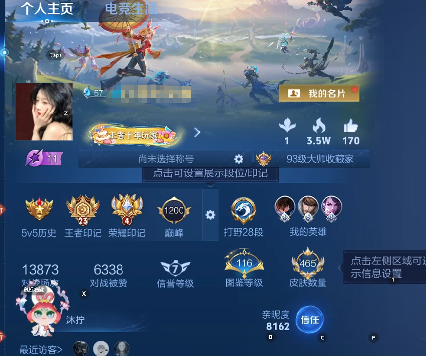 WZQM3411985王者荣耀账号详情图11