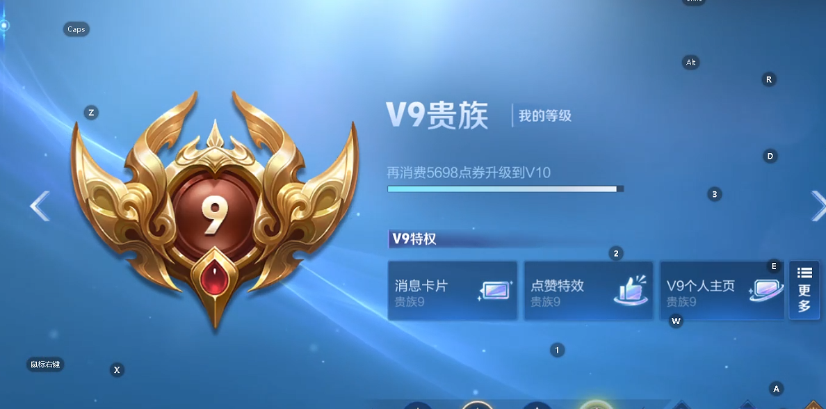 WZQM3411985王者荣耀账号详情图5