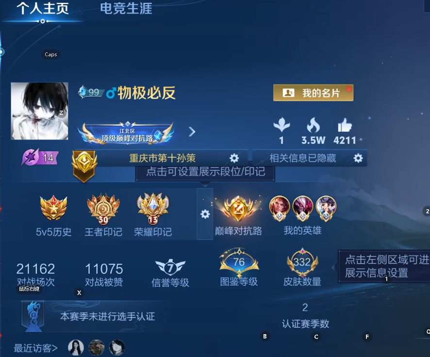 WZQM3411996王者荣耀账号详情图11