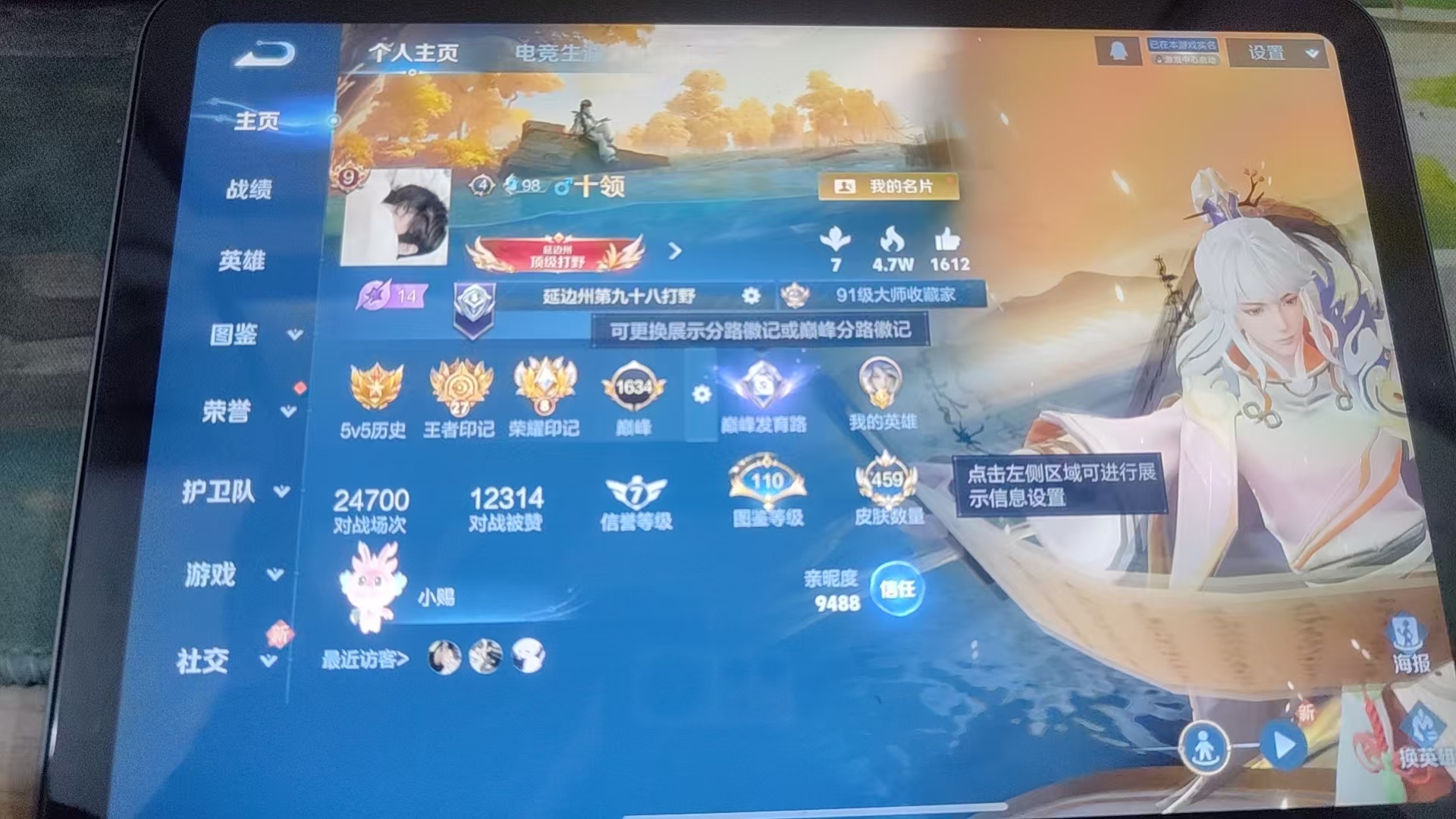 WZQM3412036王者荣耀账号详情图14