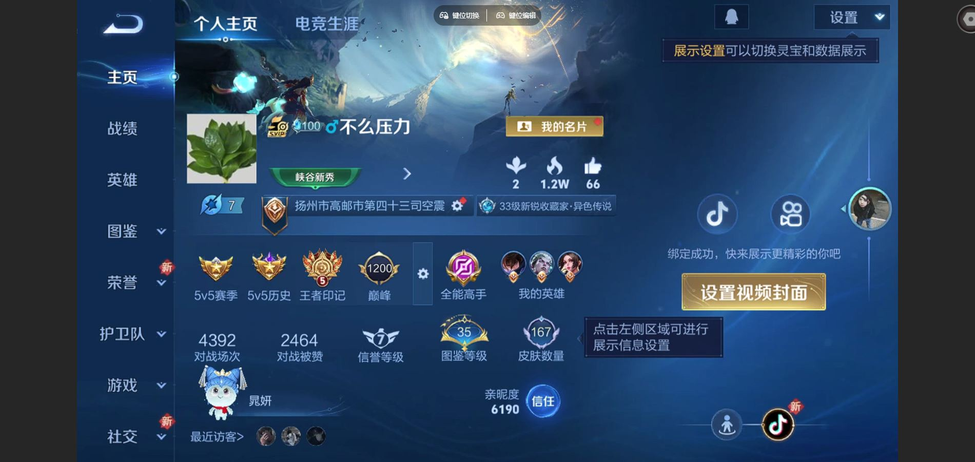 WZCMW3419656王者荣耀账号详情图2