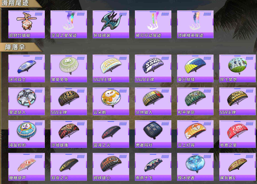 HPLX3417924和平精英账号详情图14 HPLX3417924和平精英账号详情图14