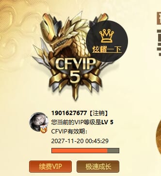 CFCMW373903穿越火线账号详情图6 CFCMW373903穿越火线账号详情图6