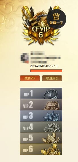 CFQM370992穿越火线账号详情图11 CFQM370992穿越火线账号详情图11